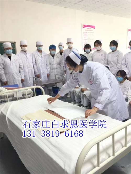 河北對口高考和對口單招有什么不同？