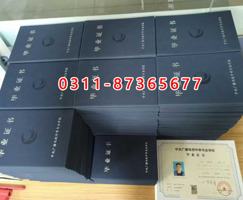 微信圖片_2025-09-11_143921_080 副本.JPG 微信圖片_2025-09-11_143921_080 副本.JPG