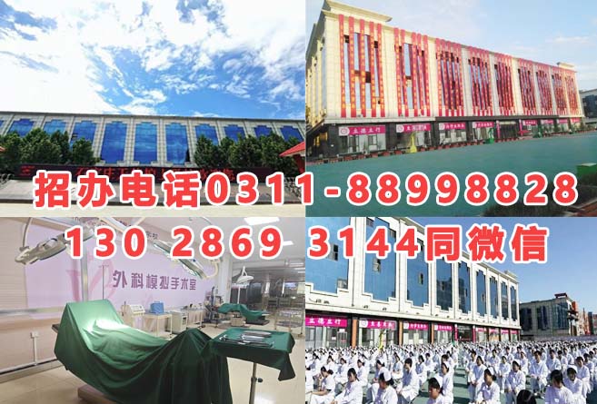 石家莊天使護士學(xué)校2026年招生分數(shù)線是多少？